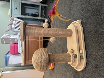 Detail view - Scratching surface